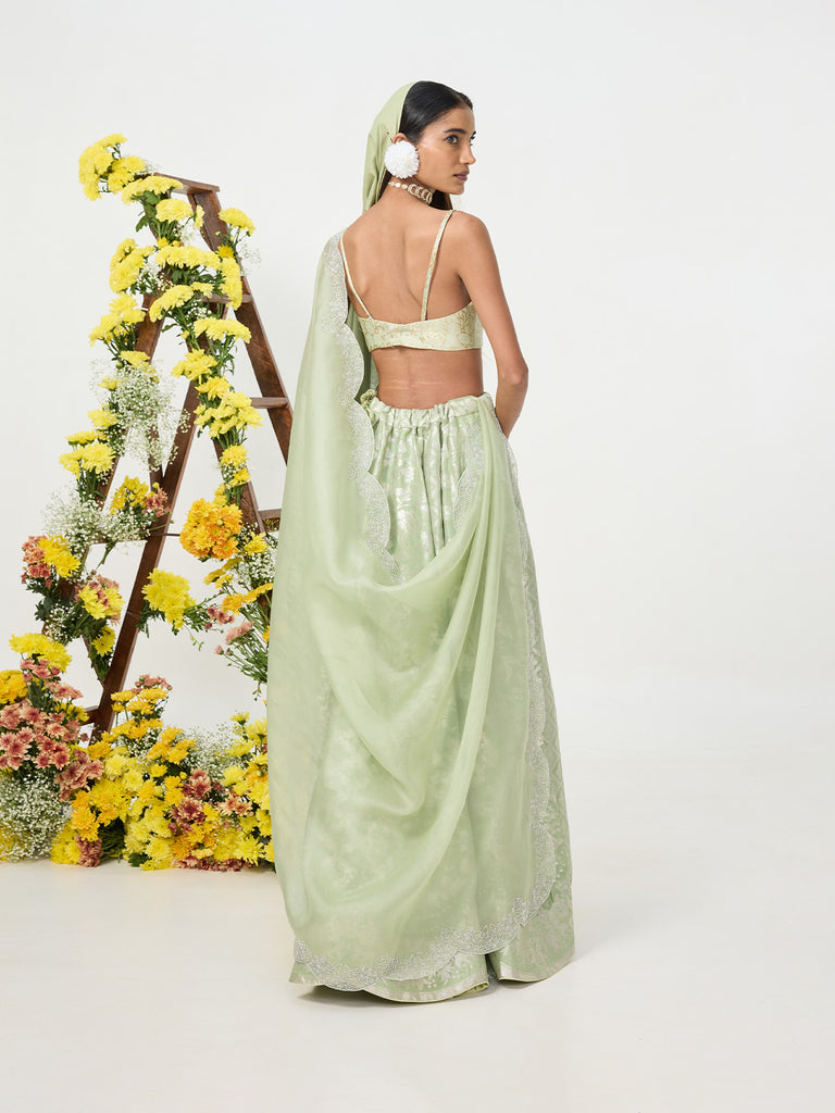 Handwoven Pale Green Banarasi Lehenga