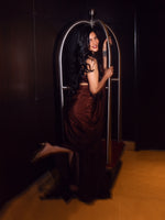 Shruti Haasan In Handwoven Brown Silk Saree