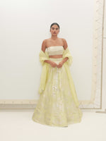 The Sylvie Lehenga Set In Pistachio