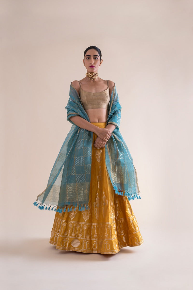 Handwoven Mustard Silk Lehenga Skirt