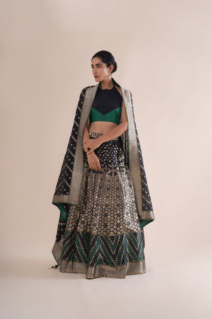 Handwoven Black and Green Silk Lehenga