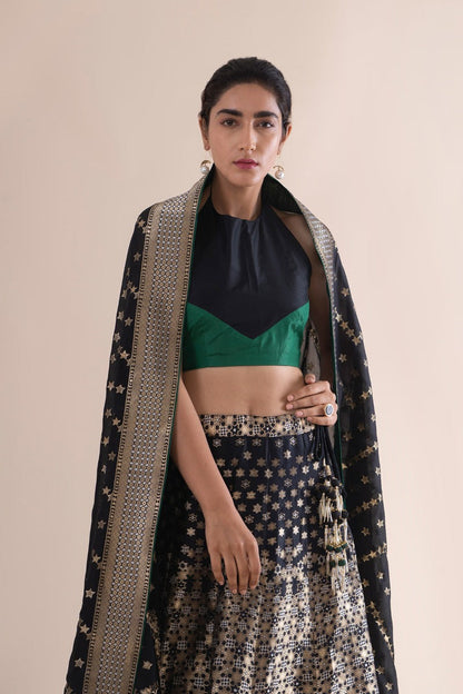 Handwoven Black and Green Silk Lehenga