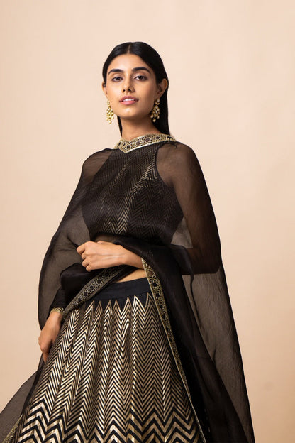 Handwoven Black Silk Chevron Lehenga (The Crossing 2019)