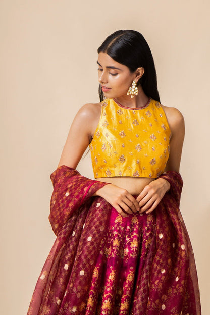 Handwoven Garnet Digital Printed Silk Lehenga