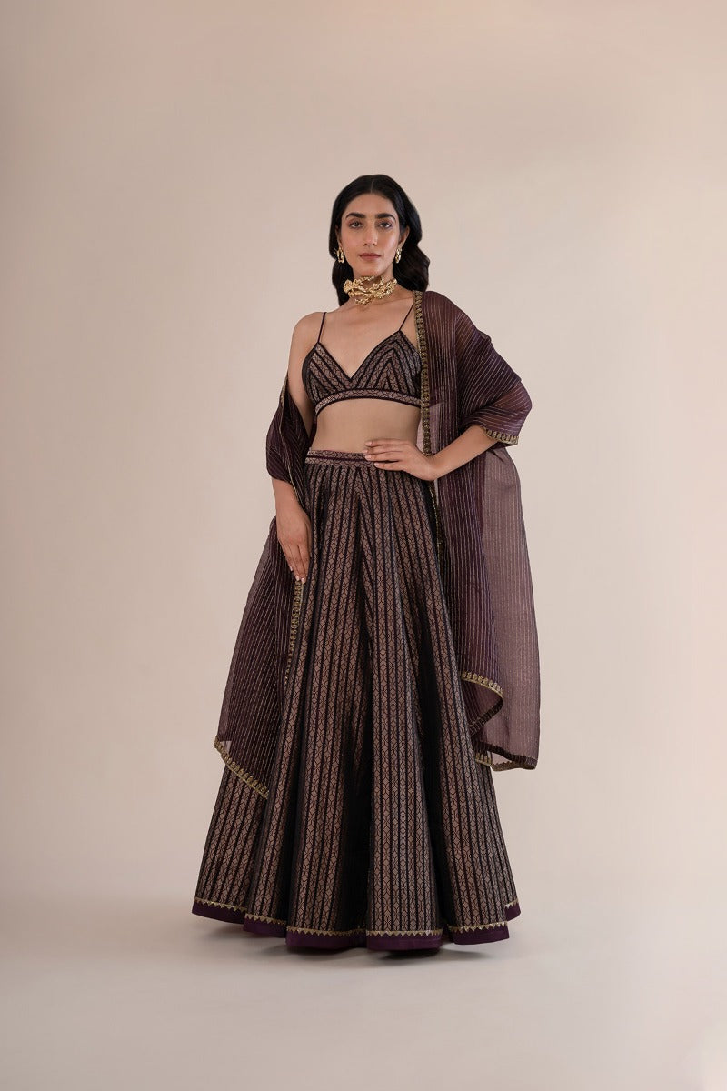 Handwoven Garnet Satin Silk Lehenga With Hand Embroidered Organza Dupatta