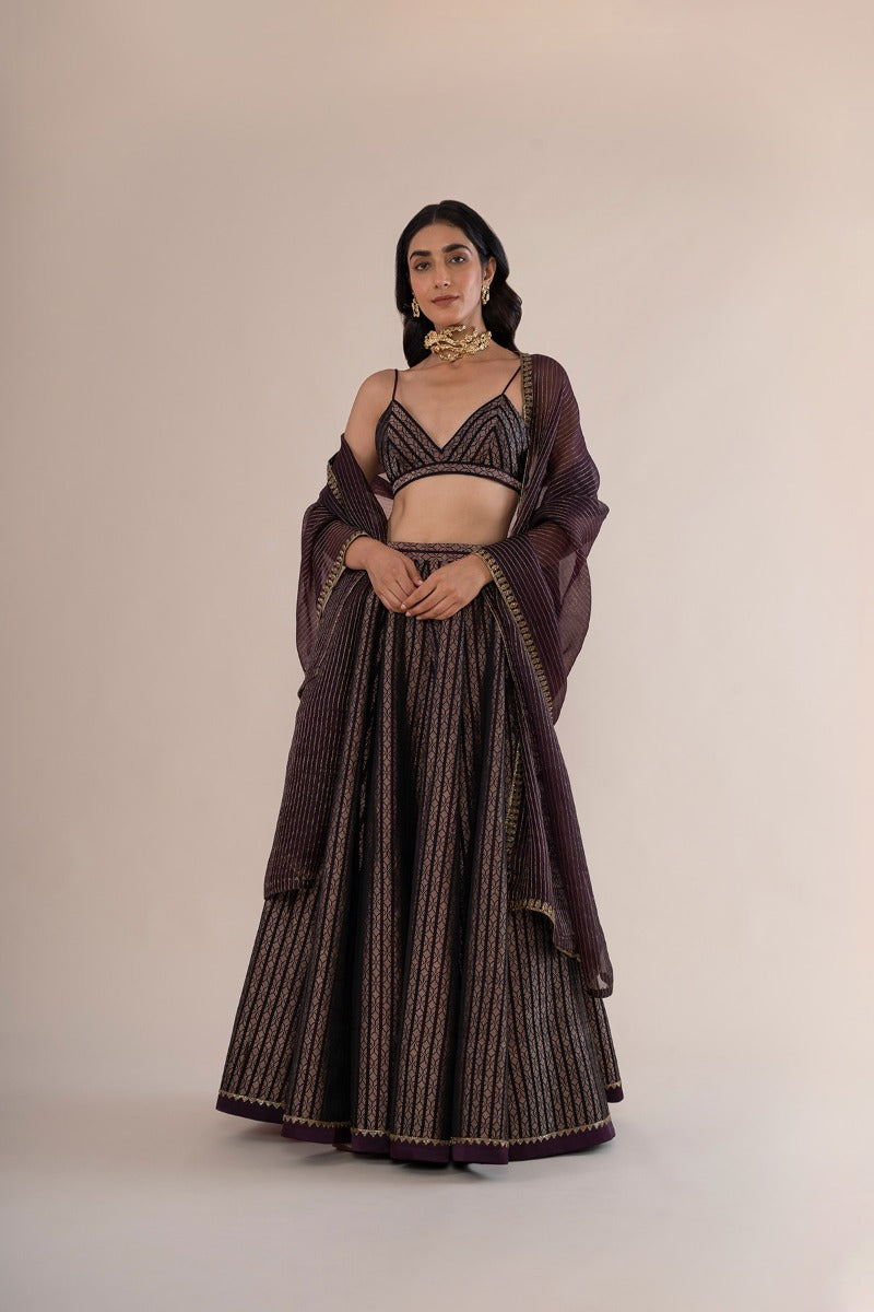 Handwoven Garnet Satin Silk Lehenga With Hand Embroidered Organza Dupatta