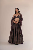 Handwoven Garnet Satin Silk Lehenga With Hand Embroidered Organza Dupatta