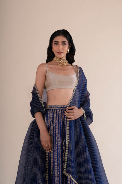 Handwoven Midnight Blue Satin Silk Lehenga With Hand Embroidered Organza Dupatta