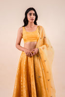 Handwoven Yellow Silk Lehenga