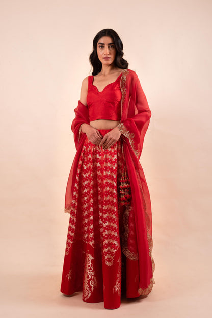 Handwoven Red Silk Lehenga