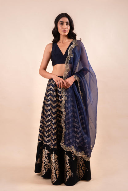 Handwoven Deep Blue Silk Lehenga