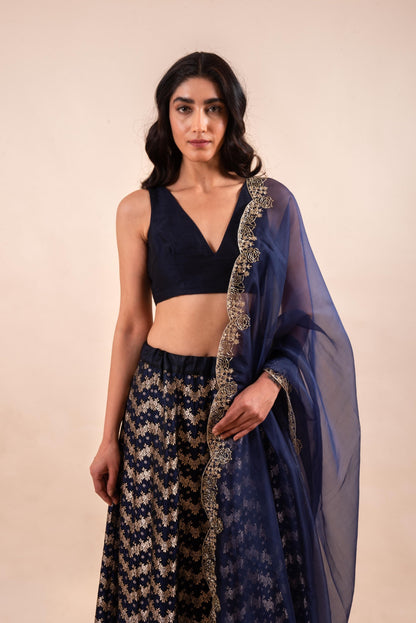 Handwoven Deep Blue Silk Lehenga