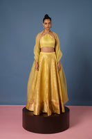 Handwoven Yellow Silk Lehenga