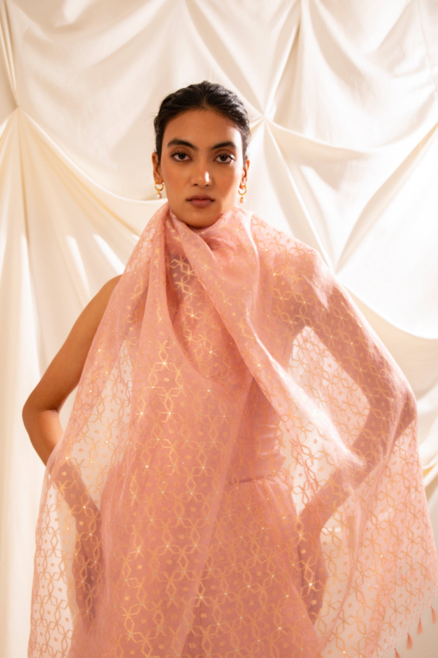 Handwoven Pink Organza Sari