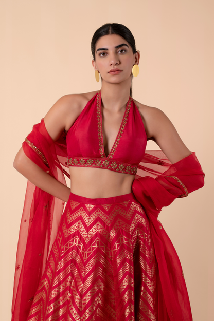 Handwoven Red Silk Lehenga