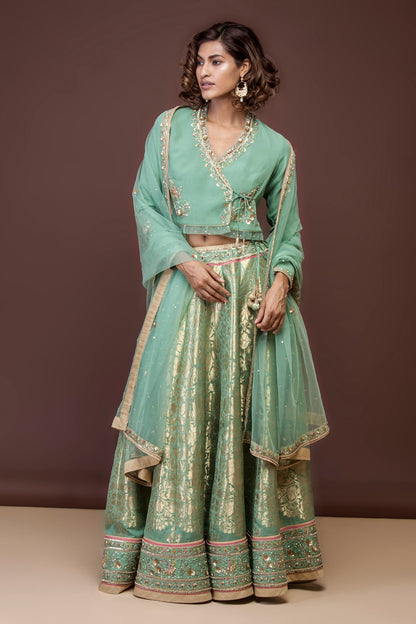 Handwoven and Embroidered Mint Green Georgette Lehenga