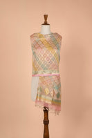 Handwoven Multicolor Organza Dupatta