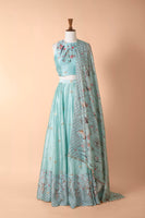 Handwoven Light Blue Digital Printed Silk Lehenga