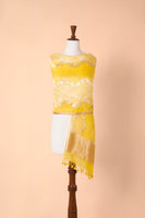 Handwoven Tuscany Yellow Organza Dupatta
